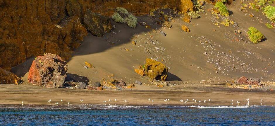 Plage de Antequera + Plages vierges de Tenerife