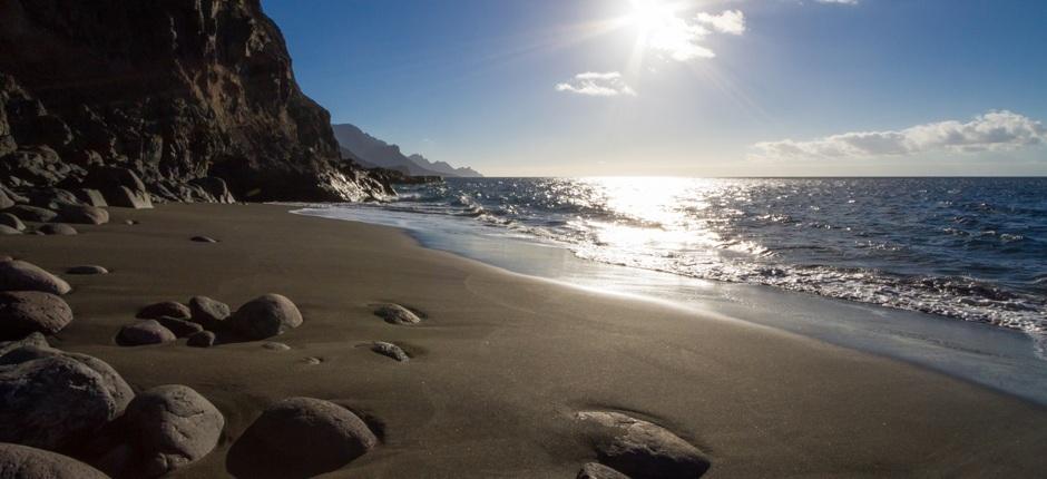 Plage de Guayedra + Plages vierges de Gran Canaria