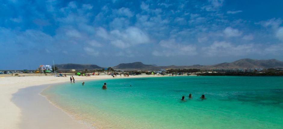 Plage de La Concha Plages populaires de Fuerteventura