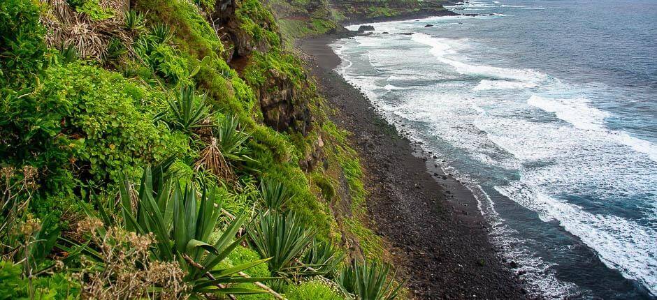Plage de Los Patos + Plages vierges de Tenerife