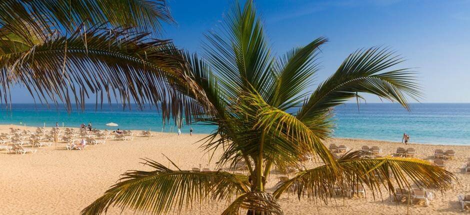 plage de Morro Jable plages populaires de Fuerteventura