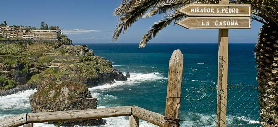 Rambla de Castro + Sentiers de Tenerife