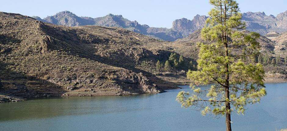 Randonnée à Ruta de las Presas Randonnée à Gran Canaria