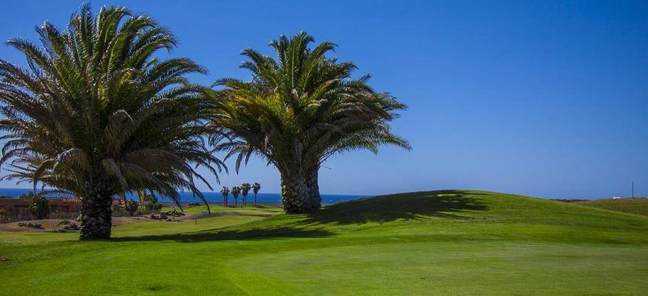 Golf Club Salinas de Antigua Terrains de golf de Fuerteventura