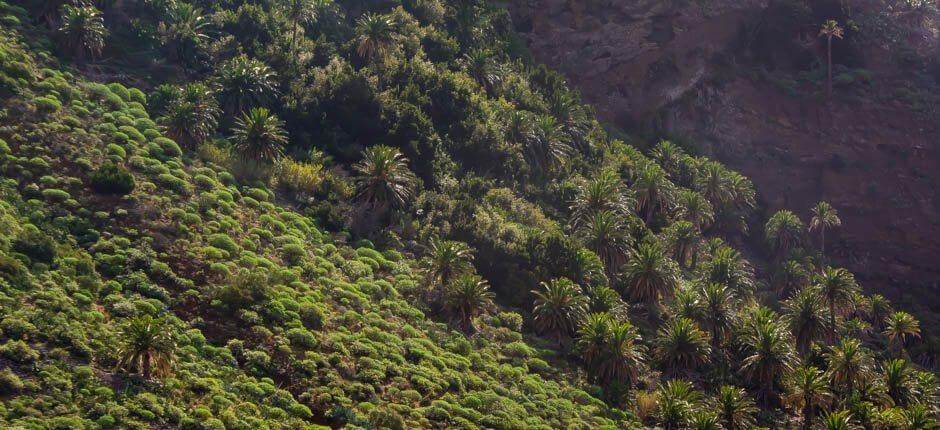 Taguluche hameaux de La Gomera