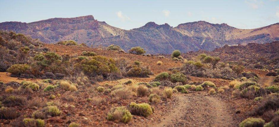 Rutas Trail Running Tenerife, Rutas Trail Running