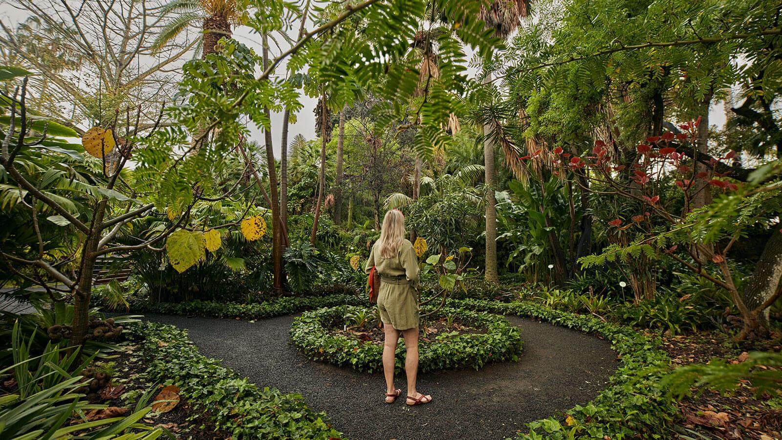 Jardin d’Acclimatation de La Orotava (Tenerife)