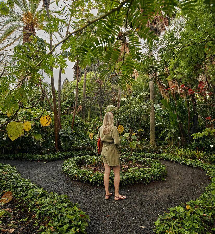 Jardin d’Acclimatation de La Orotava (Tenerife)