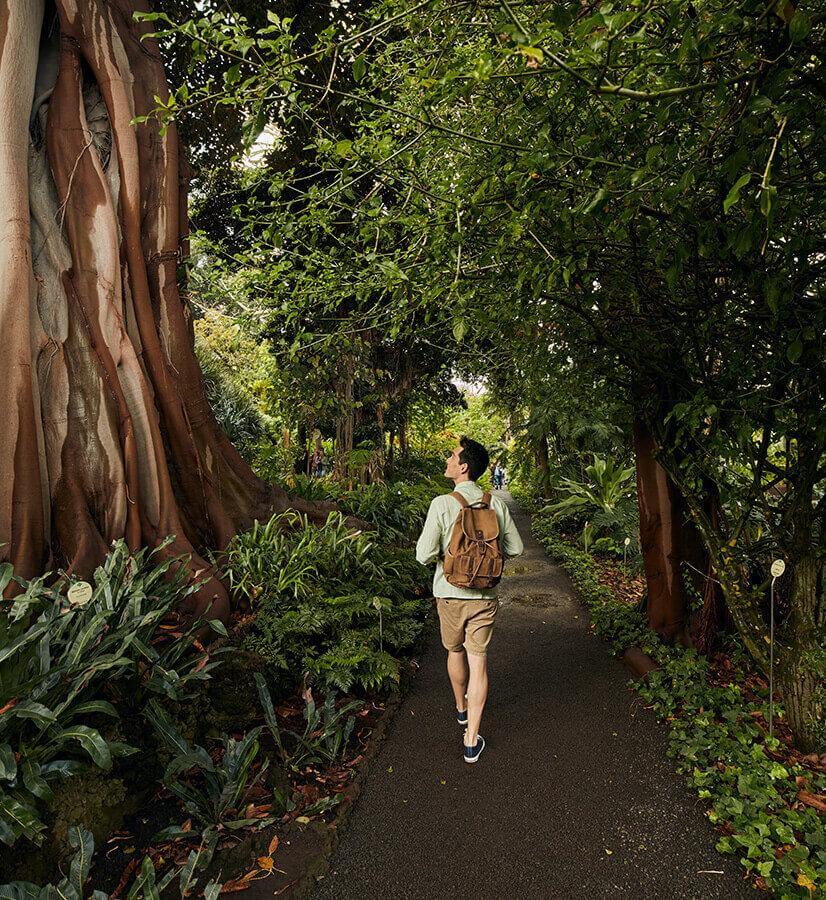 Jardin Botanique de Puerto de La Cruz, Tenerife.