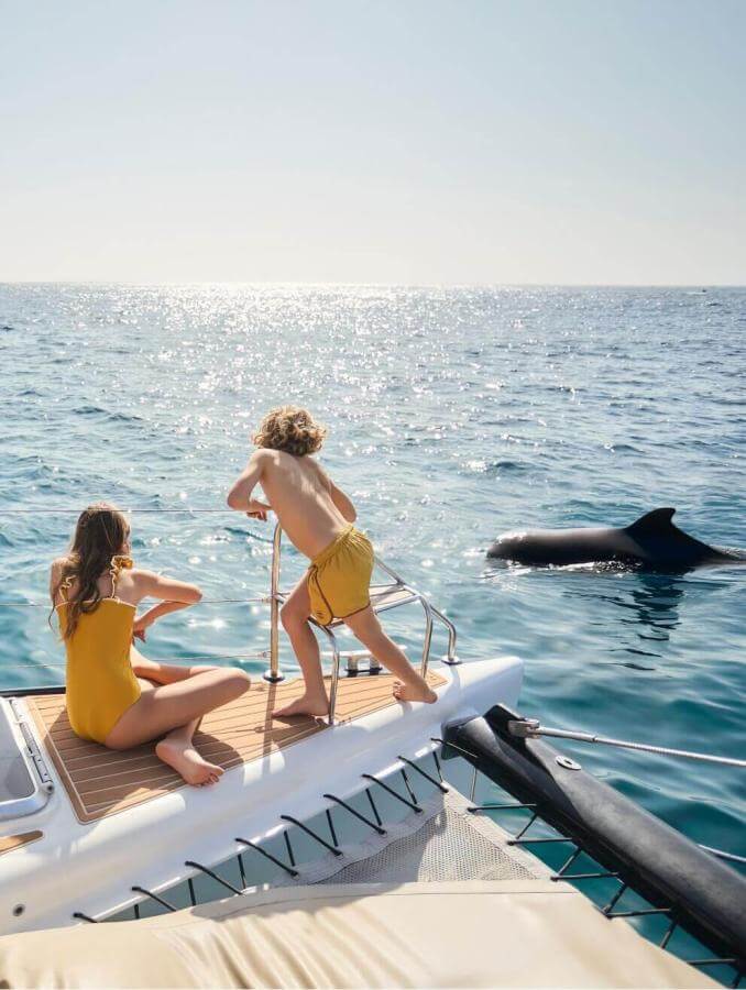 Deux personnes sur un voilier en train d’observer un dauphin dans des eaux cristallines au cours d’une sortie en mer par une journée ensoleillée.