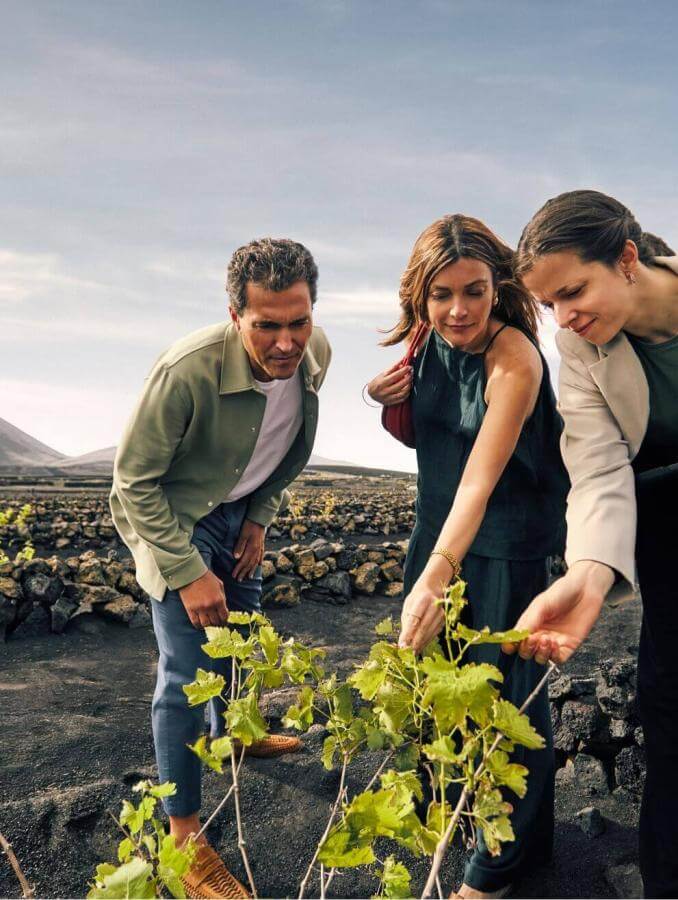 Groupe en train d’observer des vignes sur un sol volcanique au cours d’une expérience œnotouristique, avec un paysage naturel en toile de fond.